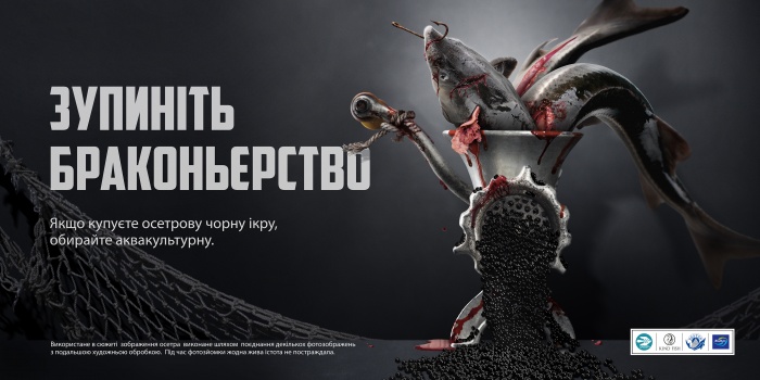 Осетри теж мають право!