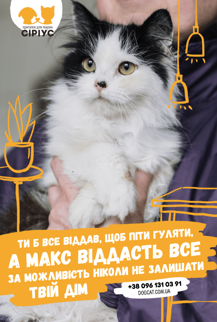 Компания TABASCO и приют для животных “Сириус” запустили информационную кампанию 