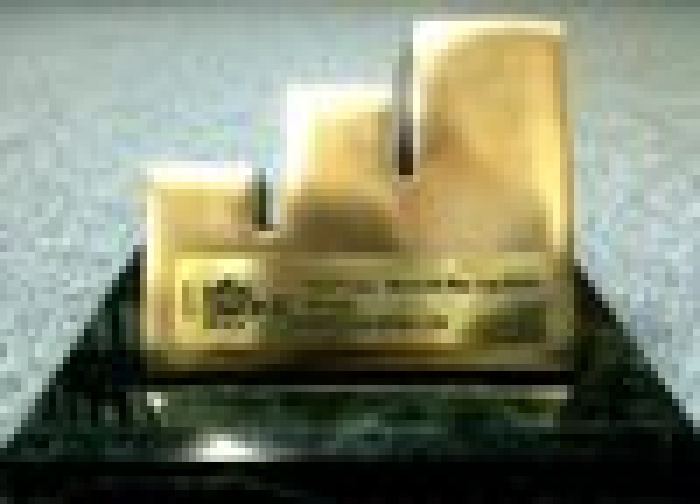 Победители EFFIE AWARDS UKRAINE 2009 