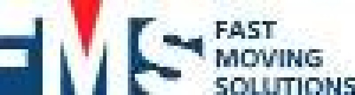 Новогоднее поздравление от FMS!