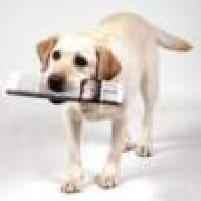 Цель-2010: клиентский актив