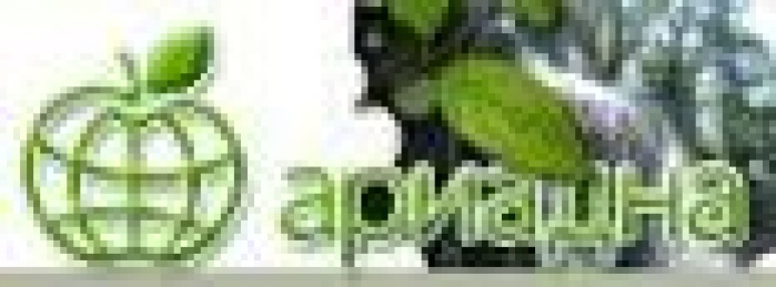  Стартовала масштабная акция «Здоровье в каждую семью!» от компании «Ариадна» 