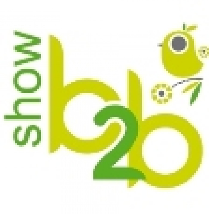 B2B Show-2011