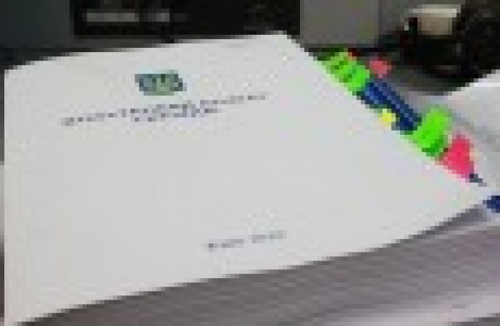 Литвин считает, что Налоговый кодекс может быть изменен