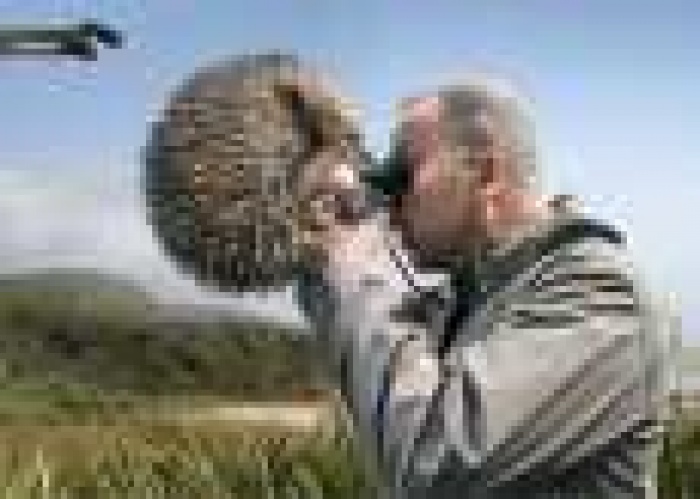 В рекламных роликах украинцы, прежде всего, ценят юмор по сравнению с образами животных и детей