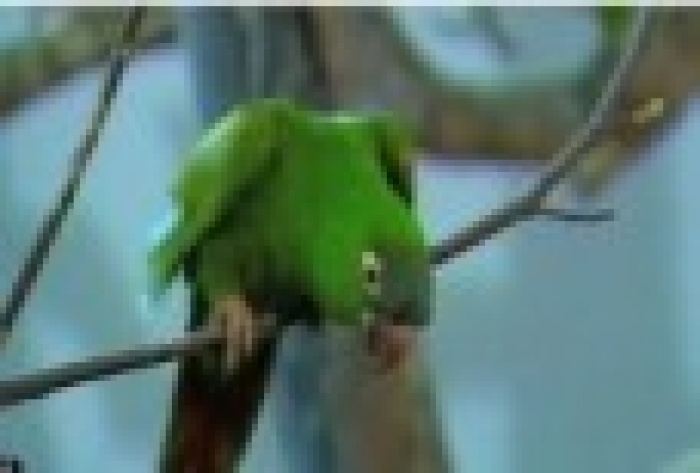 Социальная реклама заперла людей в лифте