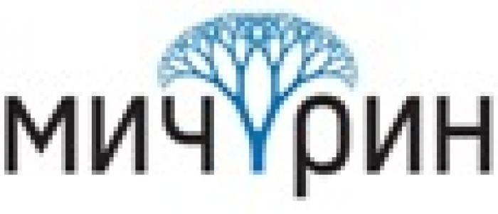 Юлия Замостяна возглавила client-service креативного агентства «Мичурин» 