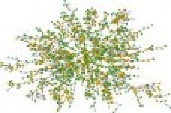 10 мифов о социальных сетях