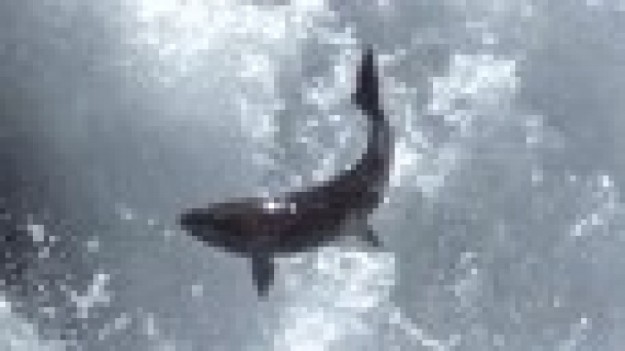 Сеть ресторанов посмеялась над социальной рекламой 