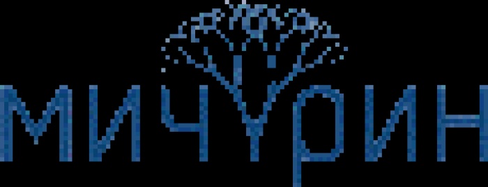 Мичурин «уложил полицейских» в креативной работе для Еврошины