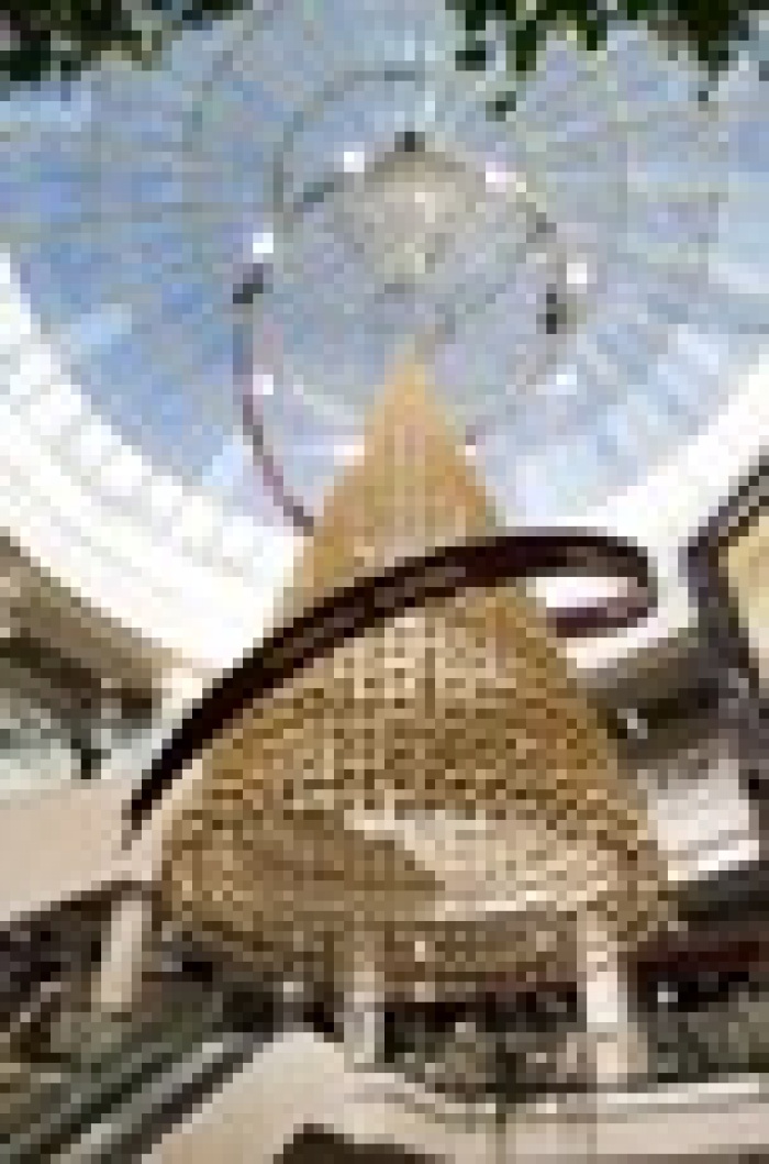 ТМ Ferrero Roсher установила новый рекорд, создав «Самую большую подвесную  елку в Украине»!