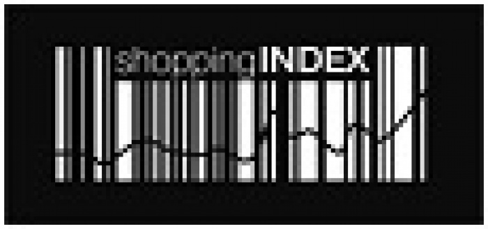 Shopping Index январь 2013: выходим из пике?