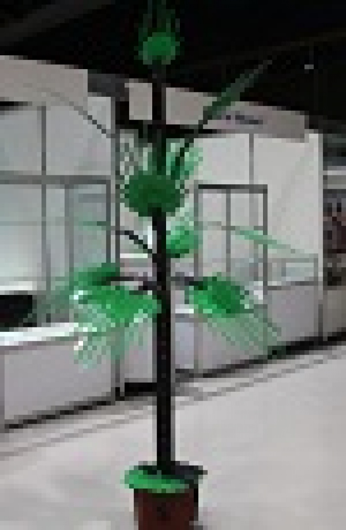 В Донецке сделали необычную копию знаменитой пальмы Мерцалова