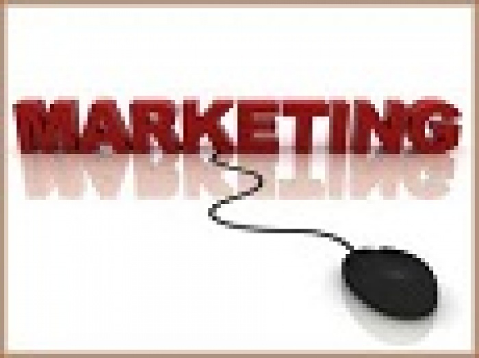 80% предпринимателей не могут получить знания по маркетингу!